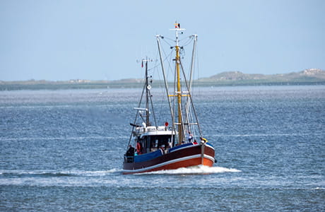 Wittmund: zwischen Küstenluft und Höhenflügen – eine Stadt, für die EWE Strom und Gas liefert.