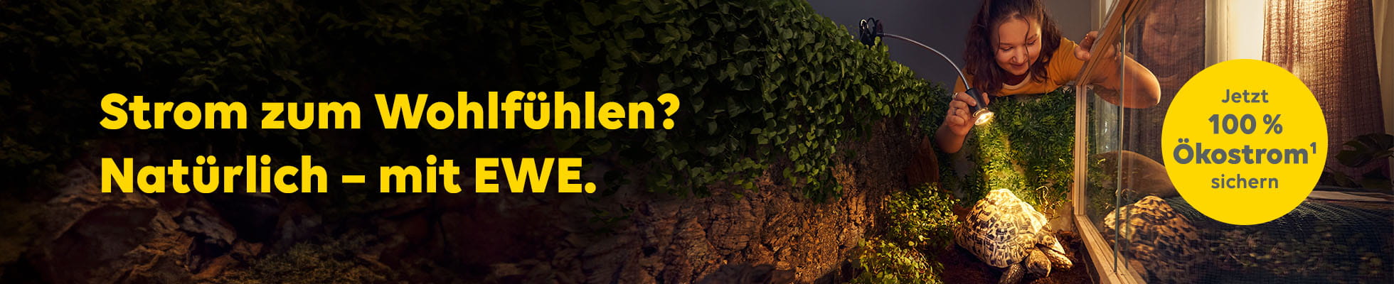 Strom für Oldenburg von EWE