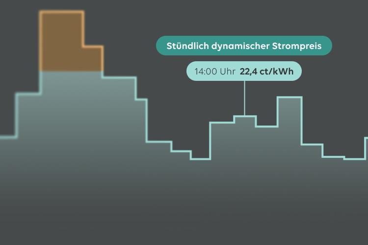 Grafik zur Ersparnis mit Grünstrom dynamisch