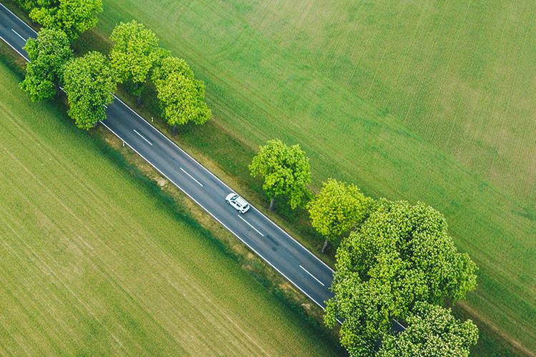 Auto auf einer Landstraße zwischen Feldern aus Vogelperspektive.