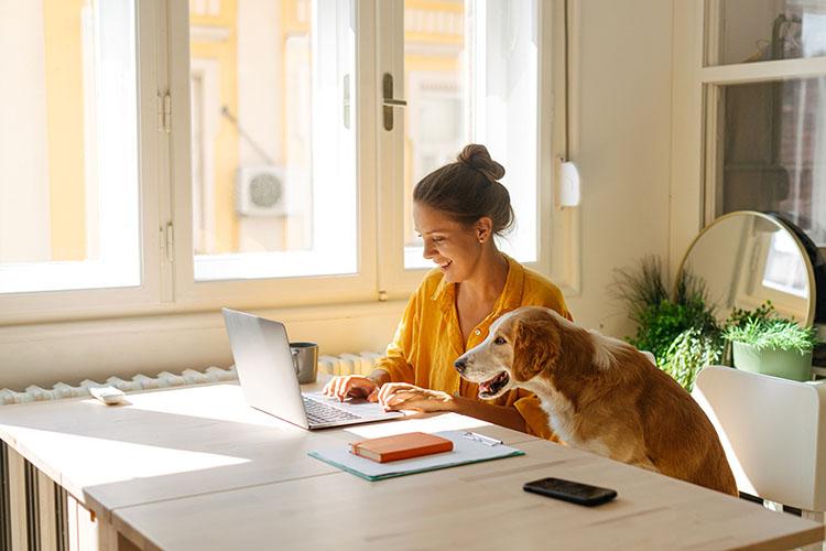Frau sitzt am Laptop, neben ihr ein Hund auf einem Stuhl