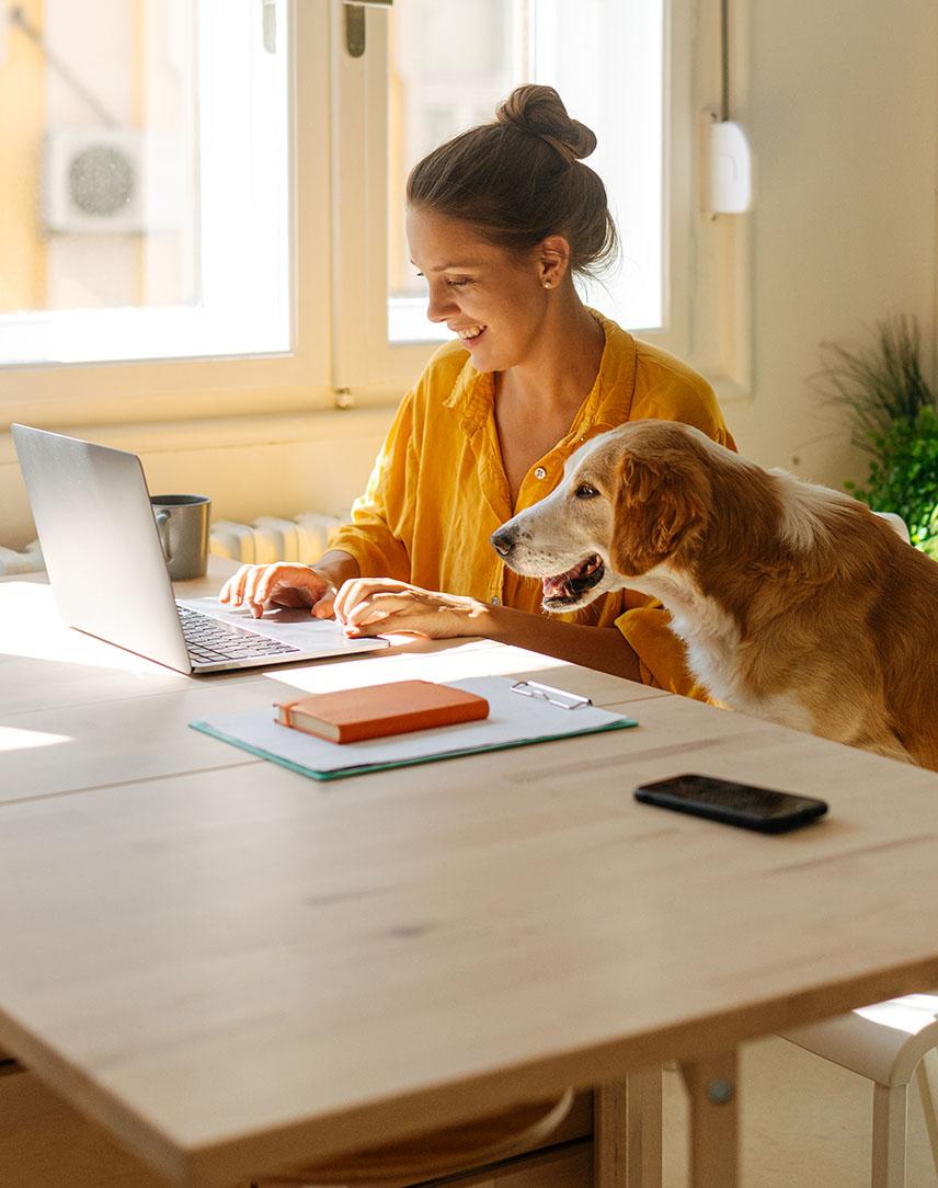 Frau sitzt am Laptop, neben ihr ein Hund auf einem Stuhl