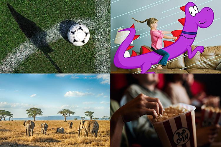 Collage von Themenbildern zu hinzubuchbaren Optionen