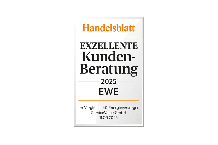 Handelsblatt Dienstleister Siegel