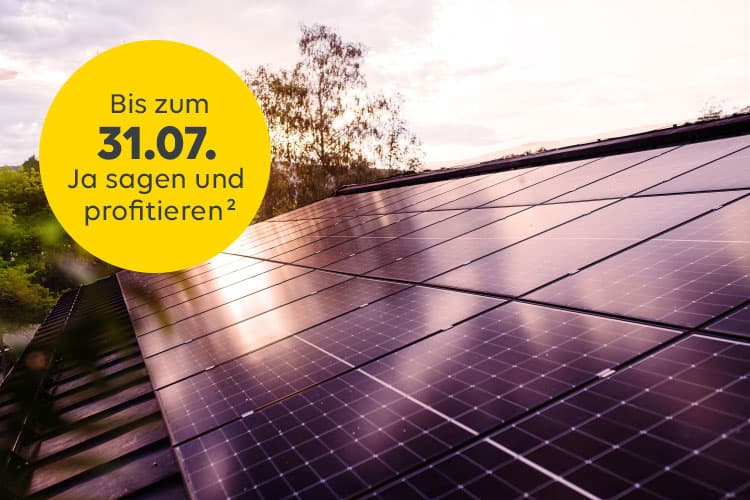 Ein Dach mit PV-Modulen