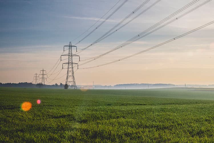 Mehrere Strommasten mit Hochspannungsleitungen stehen auf einem Feld.