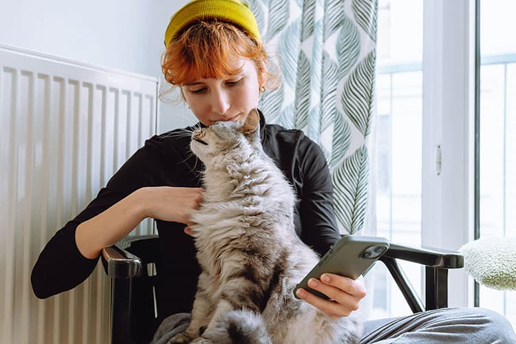 Person sitzt vor der Heizung mit Smartphone in der Hand und hält eine sitzende Katze auf dem Schoß