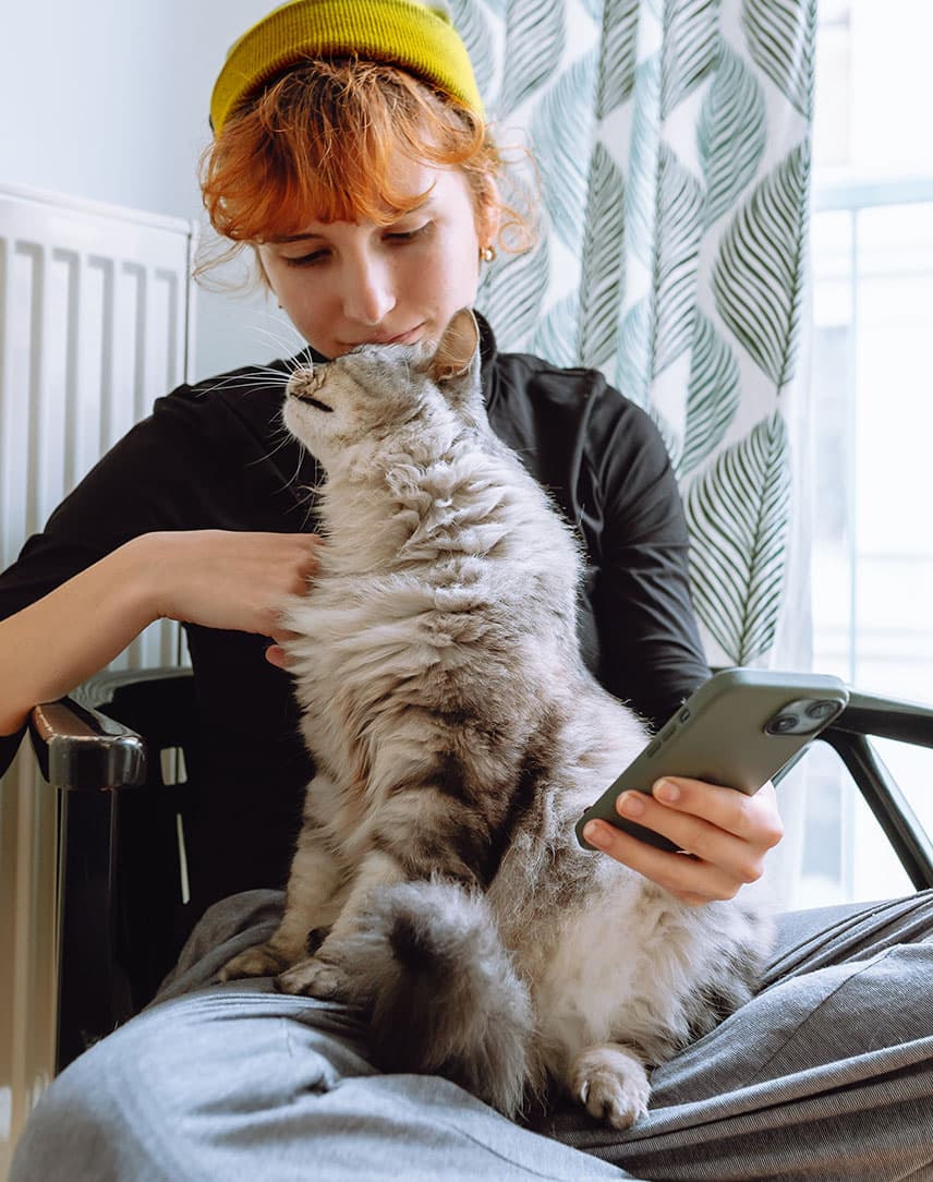 Person sitzt vor der Heizung mit Smartphone in der Hand und hält eine sitzende Katze auf dem Schoß