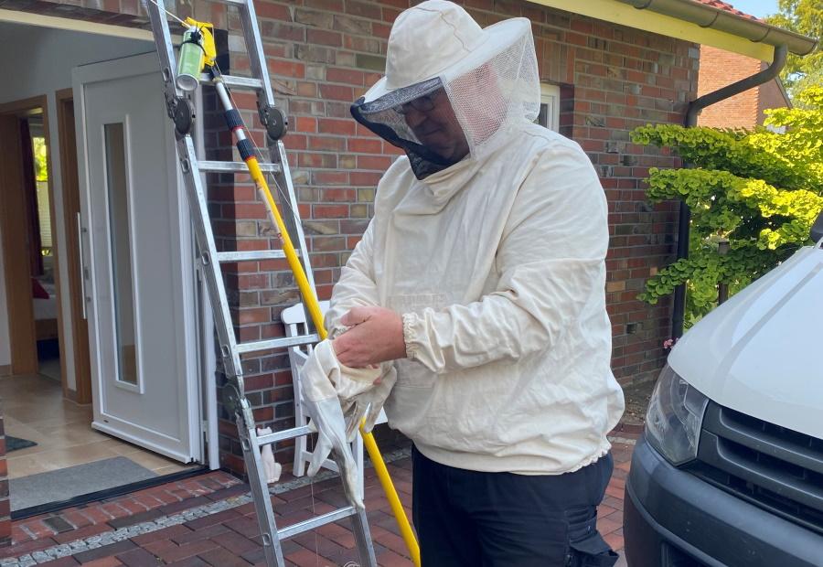 Imker verpackt das Wesennest