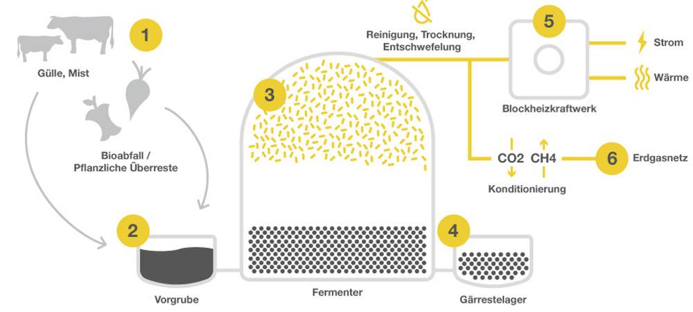 Schematische Darstellung der Funktion einer Biogasanlage