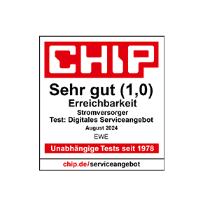 CHIP Siegel