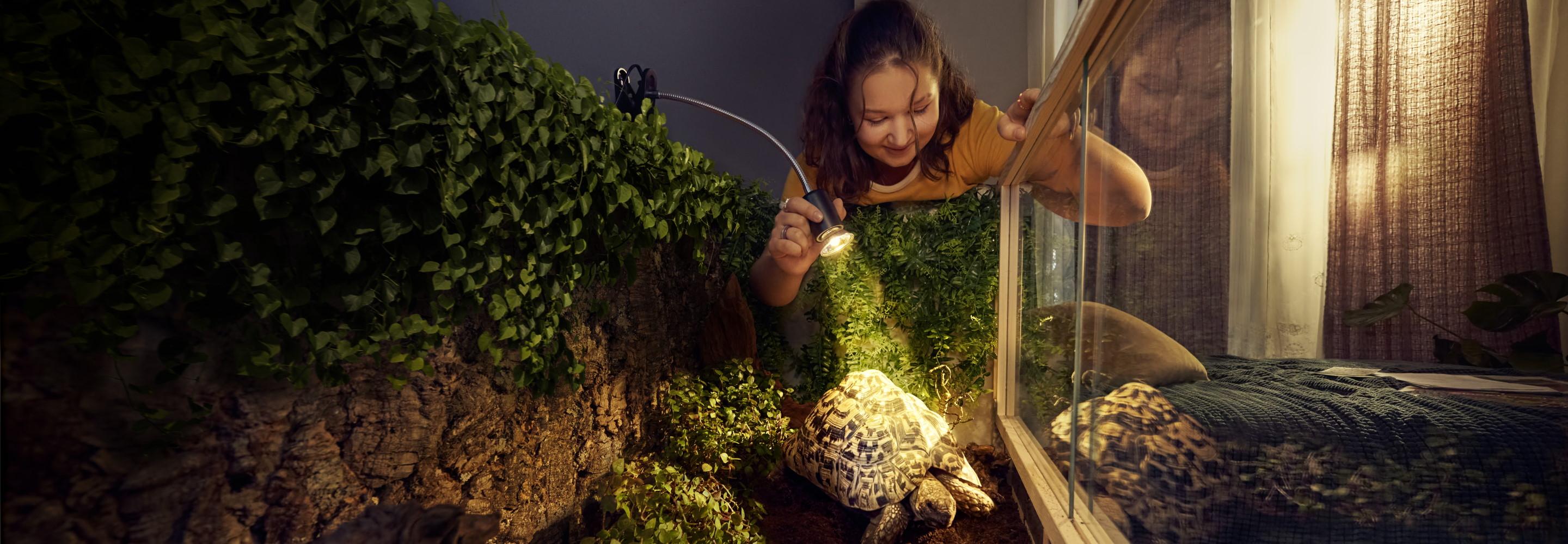 Mädchen leuchtet mit Licht ihre Schildkröte an