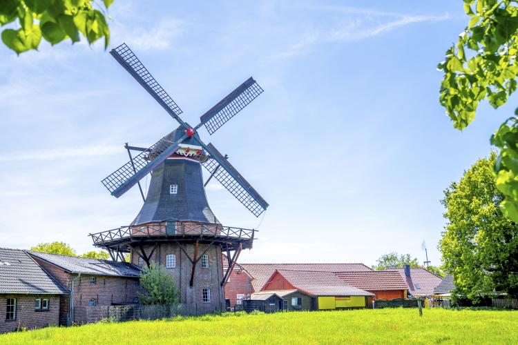 Windmühle vor einer grünen Wiese in Aurich