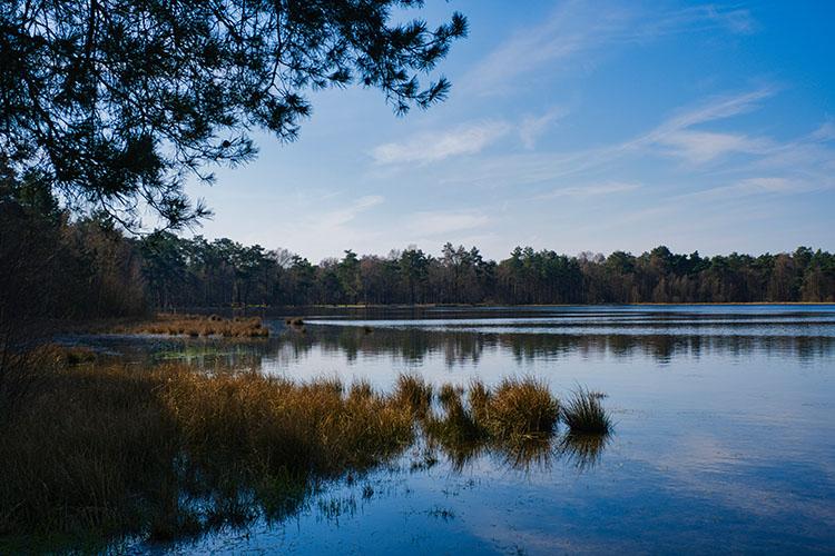 Der Bullensee nahe Rotenburg.