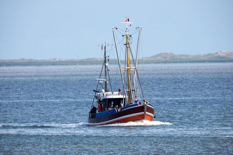Heimkehrendes Fischerboot bei Wittmund