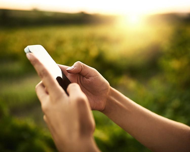 Smartphone vor unscharfem grünen Hintergrund.