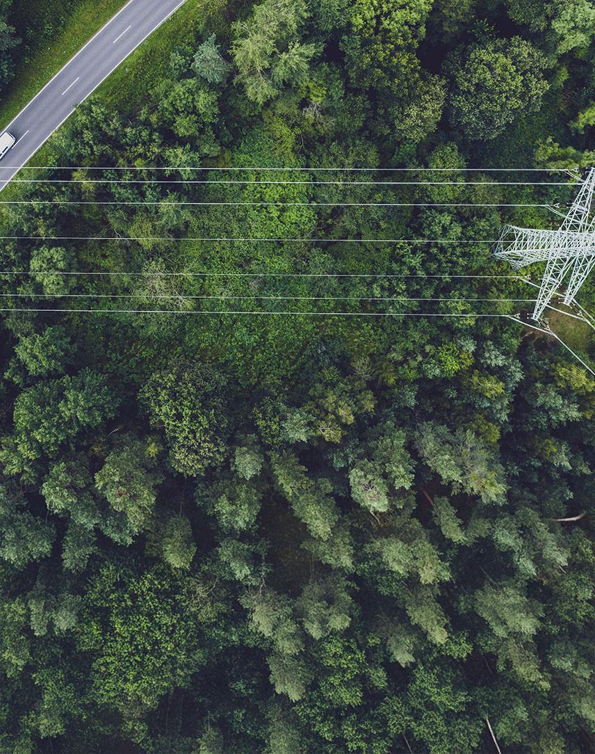 Straße, Wald und Stromleitung aus der Vogelperspektive