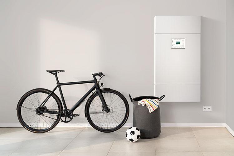 Mann trägt PV-Modul mit seiner Tochter durch den Garten